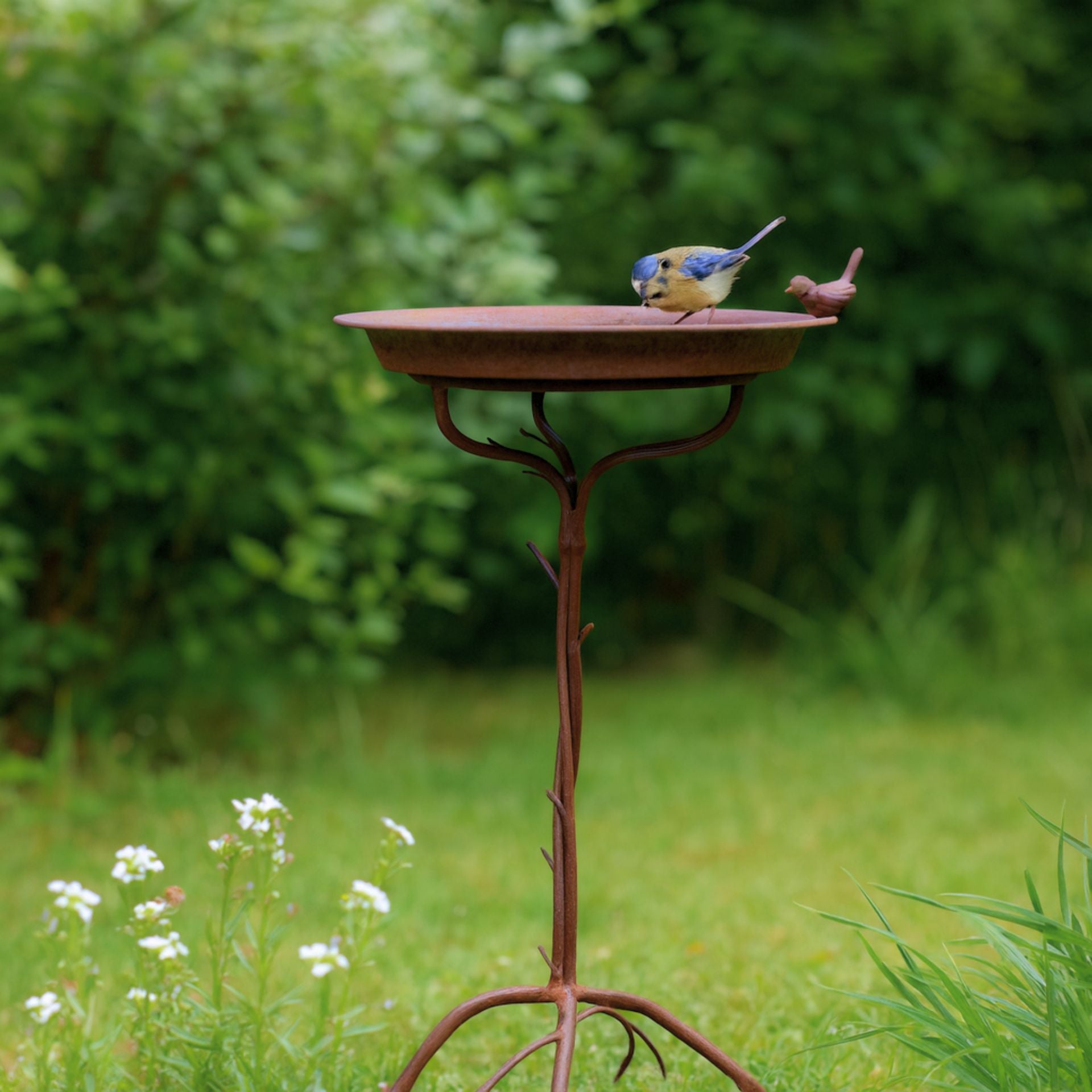 Fonso rozsda fém madáritató – 71 cm (álló kivitel)