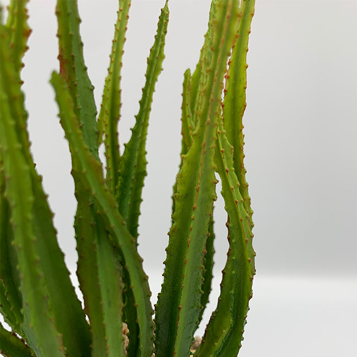 Flora kaktusz 21cm